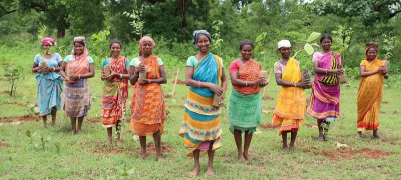 A line of women in brightly coloured saris, each holding a young tree seedling in a green clearing.